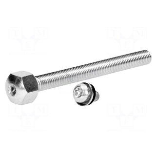 Pin | M12 | Plunger mat: steel | Plating: zinc | Thread len: 100mm
