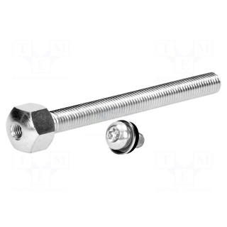 Pin | M12 | Plunger mat: steel | Plating: zinc | Thread len: 125mm