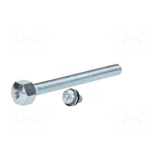Pin | M12 | Plunger mat: steel | Plating: zinc | Thread len: 125mm