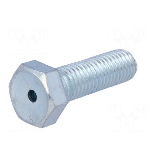 Pin | M12 | Plunger mat: steel | Plating: zinc | Thread len: 40mm