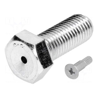 Pin | M16 | Plunger mat: steel | Plating: zinc | Thread len: 40mm