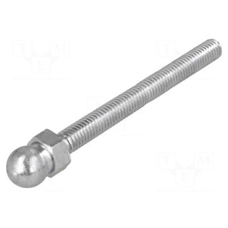 Pin | M6 | Plunger mat: steel | Ø: 10mm | Plating: zinc | Thread len: 60mm