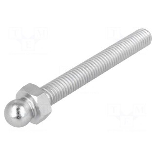 Pin | M8 | Plunger mat: steel | Ø: 10mm | Plating: zinc | Thread len: 60mm