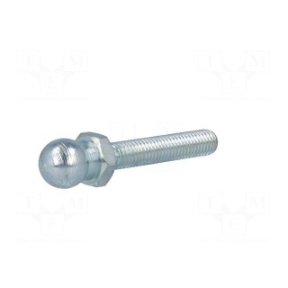 Pin | M8 | Plunger mat: steel | Ø: 14mm | Plating: zinc | Thread len: 43mm