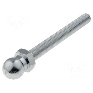 Pin | M8 | Plunger mat: steel | Ø: 14mm | Plating: zinc | Thread len: 68mm