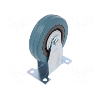 Transport wheel | Ø: 100mm | W: 25mm | H: 130mm | rigid | 65kg | PG | -5÷40°C