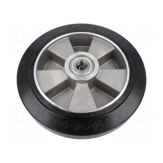Transport wheel | Ø: 250mm | W: 50mm | 550kg | rubber | ALGE | -30÷70°C