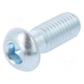 Mounting screw | for profiles