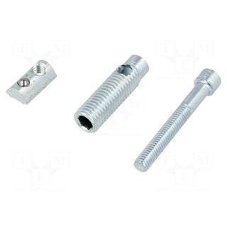 Mounting screw | for profiles | Width of the groove: 5mm | steel