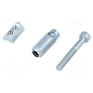 Mounting screw | for profiles | Width of the groove: 6mm | steel