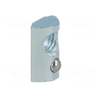Nut | for profiles | Width of the groove: 5mm | steel | zinc | T-slot