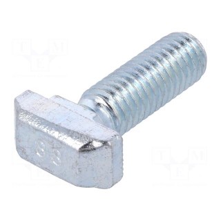 Screw | for profiles | Width of the groove: 10mm | L: 25mm | steel