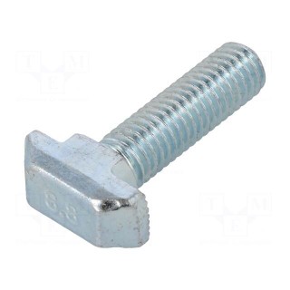 Screw | for profiles | Width of the groove: 10mm | L: 30mm | steel