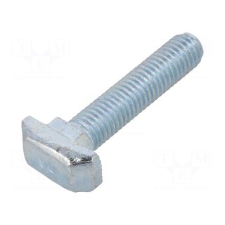 Screw | for profiles | Width of the groove: 10mm | L: 40mm | steel