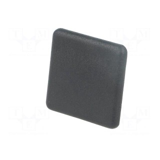 Stopper | for profiles | Width of the groove: 6mm | W: 30mm | L: 30mm