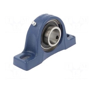 Bearing: bearing unit Y | with plummer block | 30mm | bearing steel