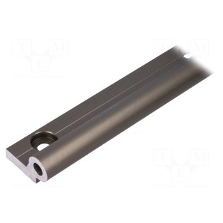 Single rail | aluminium | Ø: 16mm | L: 500mm | DryLin® W | linear guides