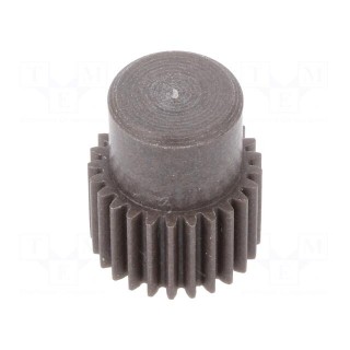 Spur gear | whell width: 16mm | Ø: 13.5mm | Number of teeth: 25 | ZCL