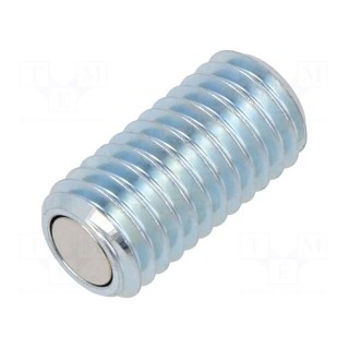 Clamping bolt | Thread: M10 | 20mm | Strength cl: 5.8 | with magnet