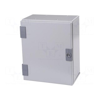 Enclosure: wall mounting | X: 250mm | Y: 300mm | Z: 160mm | orion+ | steel