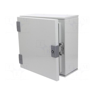 Enclosure: wall mounting | X: 300mm | Y: 300mm | Z: 160mm | orion+ | steel