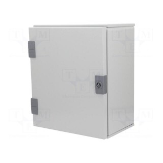 Enclosure: wall mounting | X: 300mm | Y: 350mm | Z: 200mm | orion+ | steel