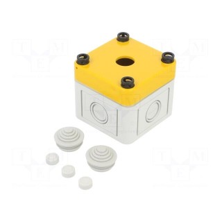 Enclosure: for remote controller | IP66 | X: 65mm | Y: 65mm | Z: 57mm