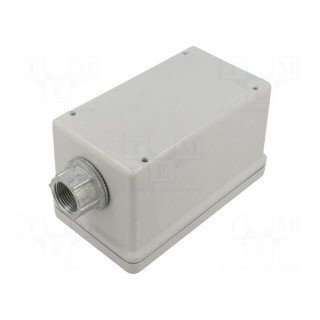 Enclosure: for remote controller | IP66 | X: 97mm | Y: 169mm | Z: 99mm