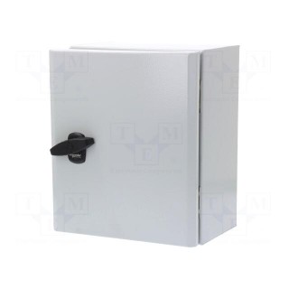 Enclosure: wall mounting | X: 250mm | Y: 300mm | Z: 150mm | Spacial S3D