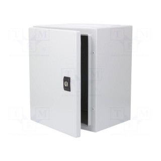Enclosure: wall mounting | X: 250mm | Y: 300mm | Z: 200mm | Spacial CRN