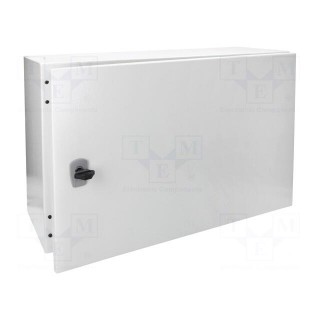 Enclosure: wall mounting | X: 400mm | Y: 600mm | Z: 250mm | CS | steel