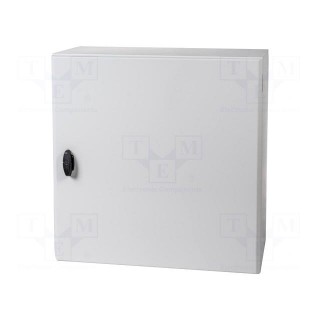 Enclosure: wall mounting | X: 600mm | Y: 600mm | Z: 300mm | Spacial S3D