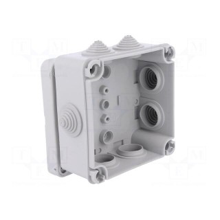 Enclosure: junction box | X: 113mm | Y: 113mm | Z: 58mm | wall mount