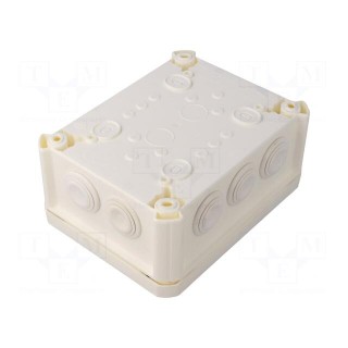 Enclosure: junction box | X: 116mm | Y: 150mm | Z: 67mm | IP66 | white