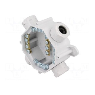 Enclosure: junction box | X: 75mm | Y: 75mm | Z: 35mm | wall mount | IP67
