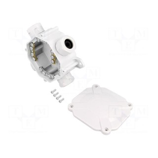 Enclosure: junction box | X: 75mm | Y: 75mm | Z: 35mm | wall mount | IP67