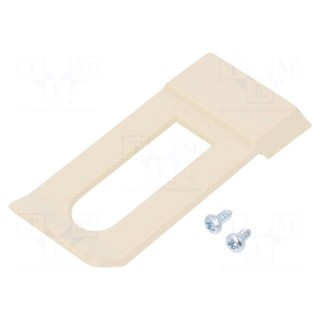 Clip | ivory | Series: CLIPS | 60x20x6mm