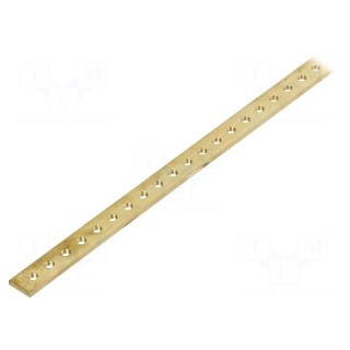 Earthing strip | copper | W: 15mm | L: 1000mm | for enclosures | Thk: 3mm