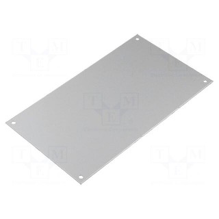 Front panel | aluminium | W: 117mm | L: 205mm | Series: CARDMASTER