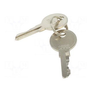 Key | Key code: 1333 | 2pcs.