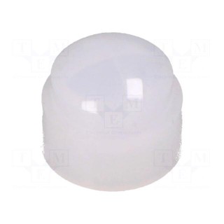Fresnel lens | -25÷60°C | natural white | Detection: 65°x60°