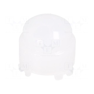 Fresnel lens | -25÷60°C | natural white | Detection: 90°x80°