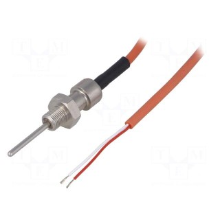 Sensor: temperature | Pt100 | cl.B | Electr.connect: 2m lead | 40mm