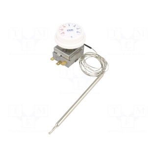 Sensor: thermostat with capillary | SPDT | 10A | 400VAC | ±3°C | BT