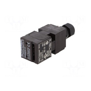 Safety switch: key operated | Series: AZ 17 | Contacts: NC x2 | IP67
