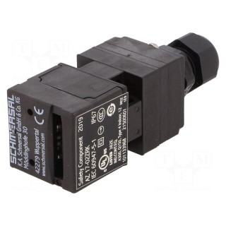 Safety switch: key operated | Series: AZ 17 | Contacts: NC x2 | IP67