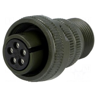 Connector: circular | Series: DS/MS | plug | female | PIN: 5 | for cable