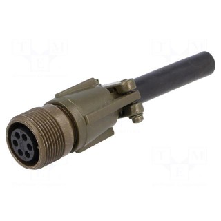 Connector: circular | Series: DS/MS | plug | female | PIN: 6 | for cable