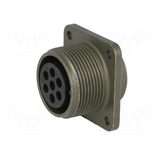 Connector: circular | Series: DS/MS | socket | female | PIN: 7 | 13A
