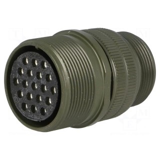 Connector: circular | Series: DS/MS | plug | female | PIN: 19 | for cable